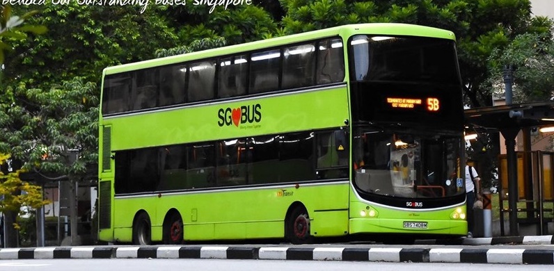 Xe bus ở Singapore